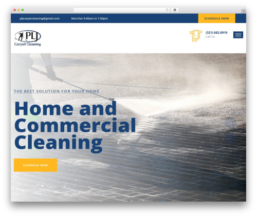 Wpsection WordPress plugin - pljcarpetcleaning.com