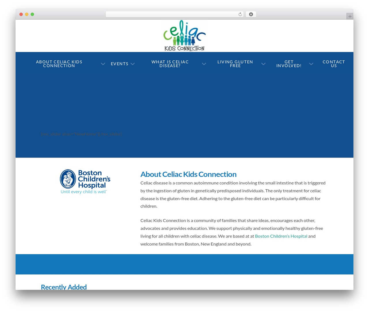 WordPress theme Pro - celiackidsconnection.org WordPress theme Pro - celiackidsconnection.org