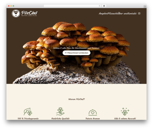 WP theme 4D Framework - pilzchef.ch