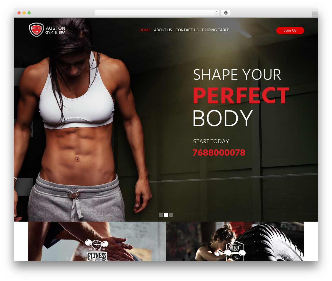 WP theme Maruthi - austongym.com