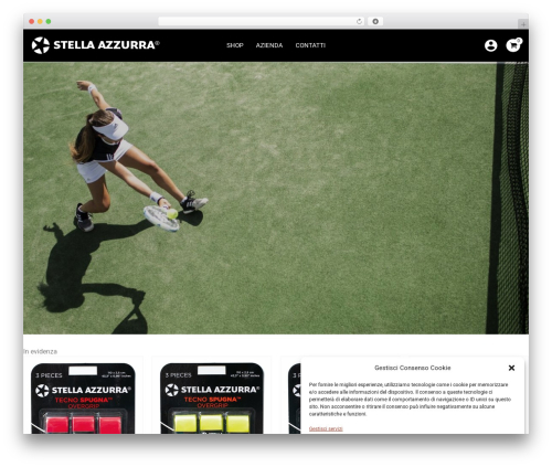 Astra best WordPress theme - stellaazzurra.com