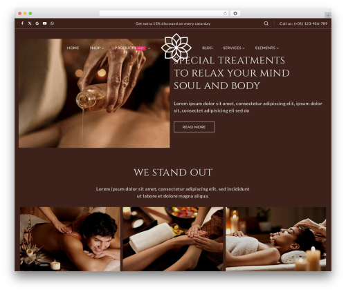 Templatemela core WordPress plugin - demo.webdigify.com/WP01/WP008_spa
