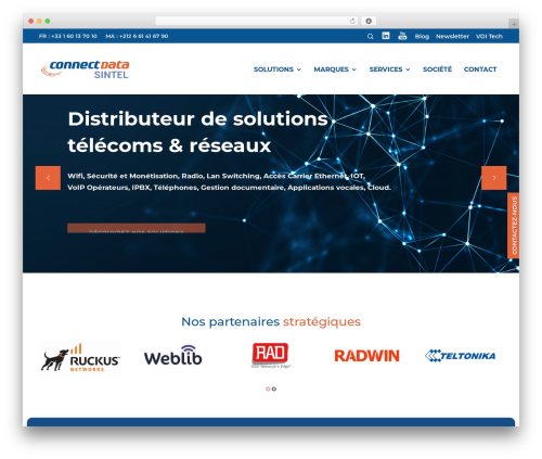 Connect Data Sintel WordPress theme - connectdata.fr
