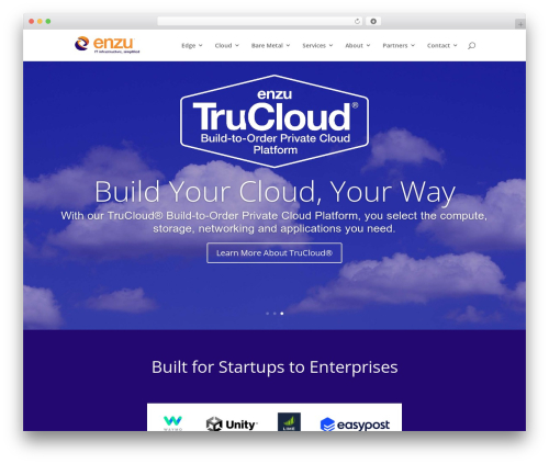 Cool timeline pro WordPress plugin - enzu.com