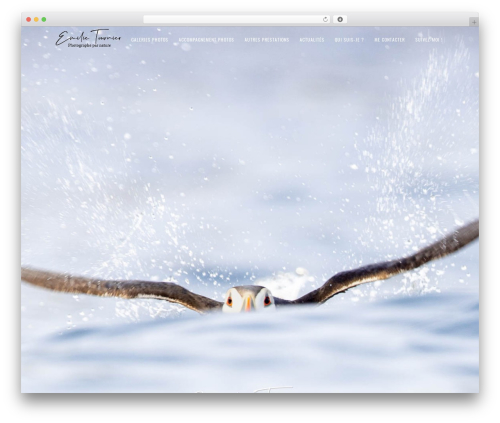 Genesis WordPress theme - emilietournier.com