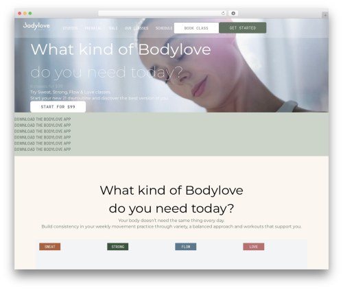 Borderless – Widgets, Elements, Templates and Toolkit for Elementor & Gutenberg (borderless) free WordPress plugin - bodylove-pilates.com