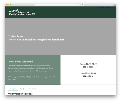 Cookie consent manager WordPress plugin - wernerservice.com