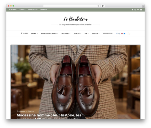 Ai WordPress plugin - lebarboteur.com