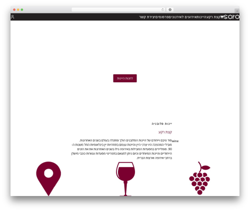 WordPress website theme Frontend - saroimports.com