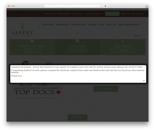Best WordPress theme the11 - javerypain.com Best WordPress theme the11 - javerypain.com