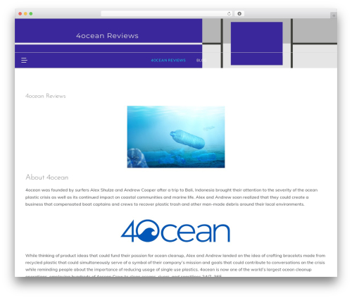 Prefer free WordPress theme - 4oceanreviews.com