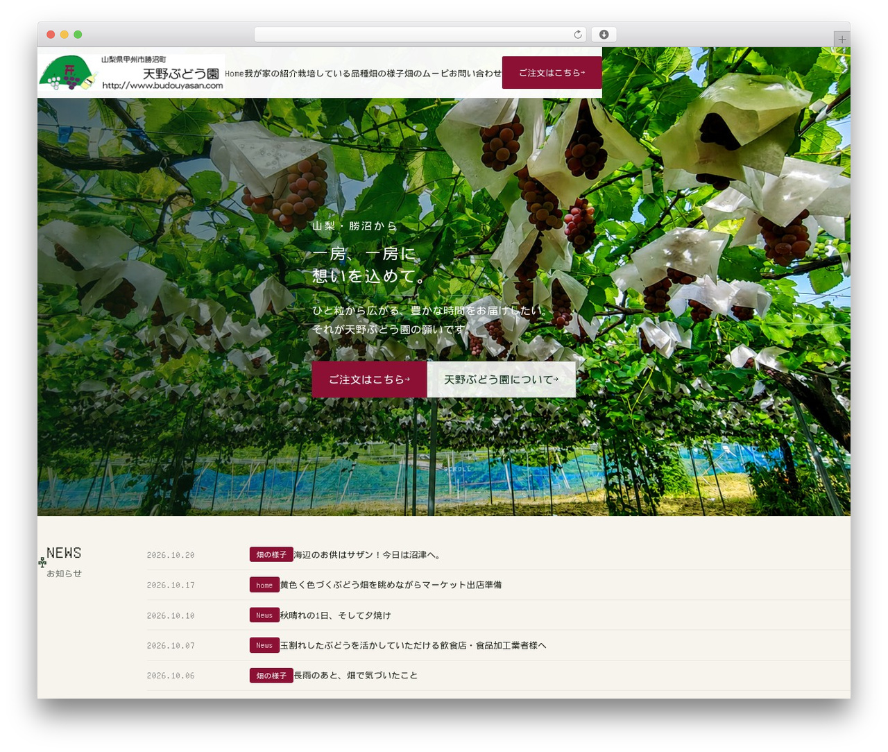 WordPress theme 天野ぶどう園 - budouyasan.com WordPress theme 天野ぶどう園 - budouyasan.com