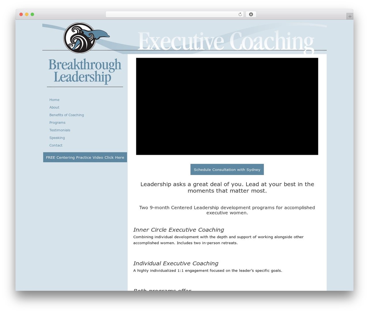 Dynamik theme WordPress - breakthruleader.com