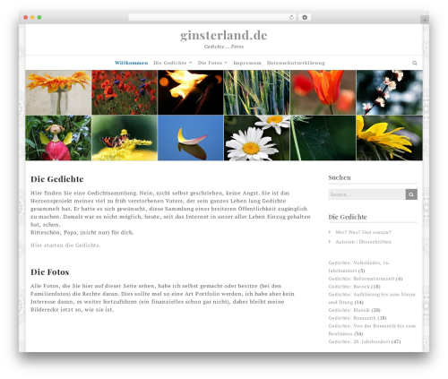 Ef Practical best WordPress theme - ginsterland.de