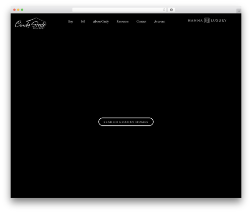Frontend admin pro WordPress plugin - cindysteele.realtor