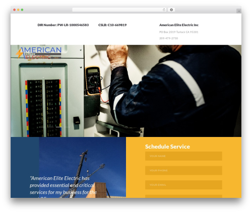 Best WordPress theme ElectroServ - americanee.com