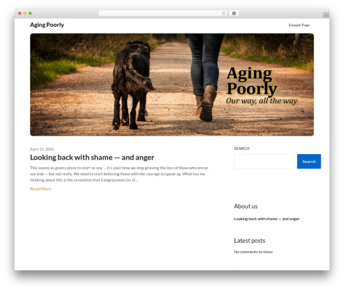 Superb helper pro WordPress plugin - agingpoorly.com