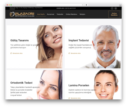 Hello Elementor WordPress theme - plazadis.net
