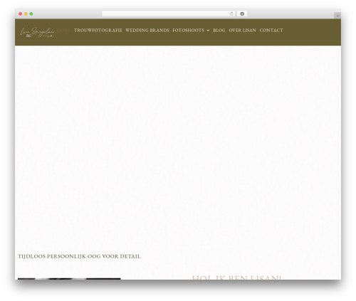 Exclusive addons elementor pro WordPress plugin - lisanspiegelaar.nl