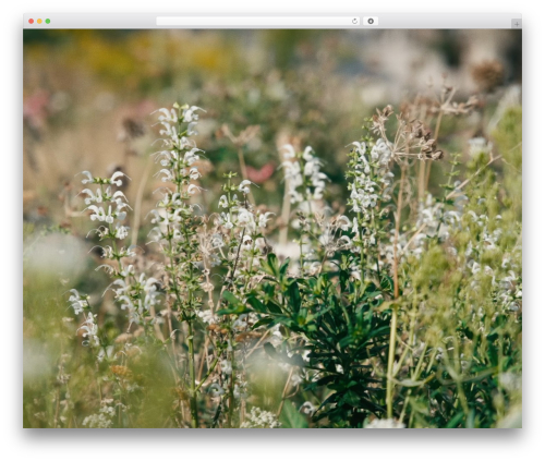 Toolkit WordPress theme - adventices-paysages.ch