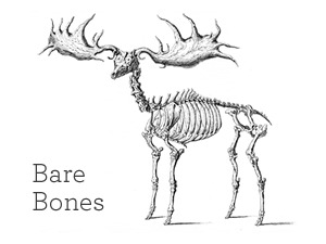 Barebones WordPress theme by James Young