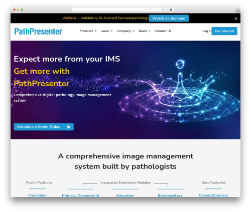 PathPresenter WordPress theme design - pathpresenter.com