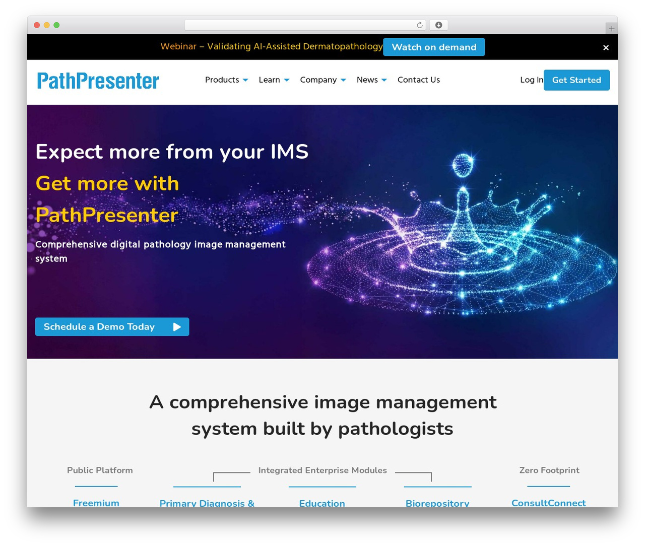 PathPresenter WordPress theme design - pathpresenter.com