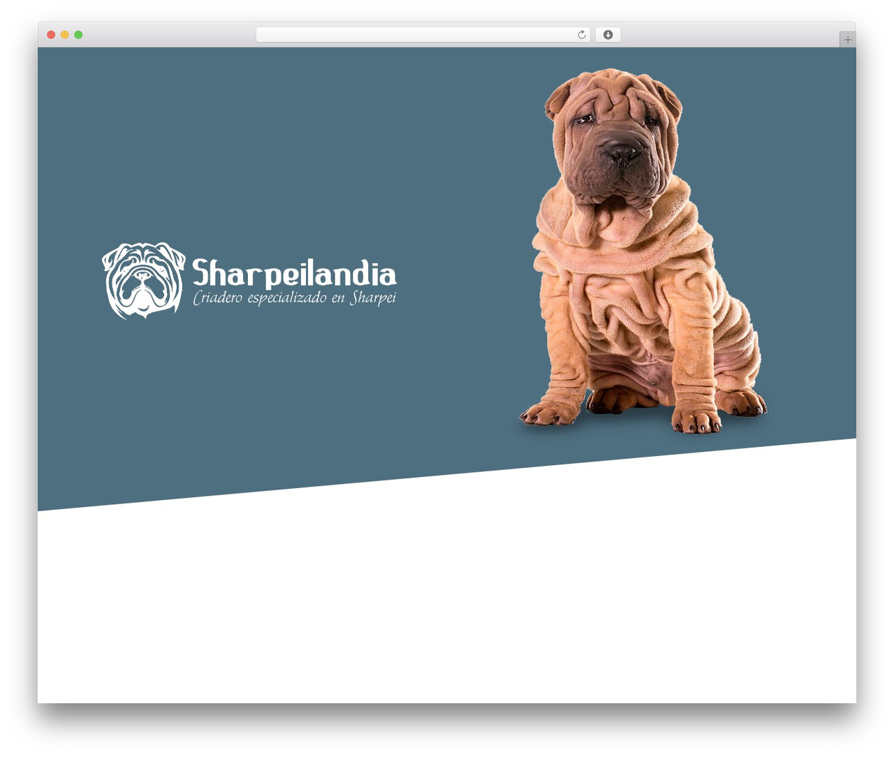 Theme WordPress Hello Elementor - sharpeilandia.com