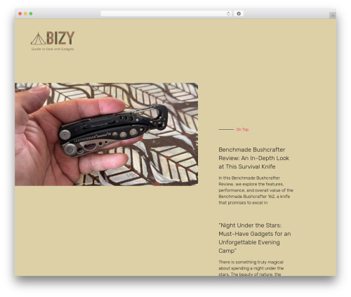 Tenweb builder WordPress plugin - abizy.com