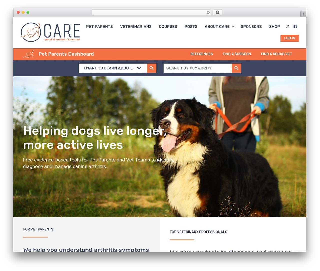 Unchained WordPress video theme - caninearthritis.org Unchained WordPress video theme - caninearthritis.org