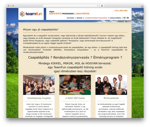 Wp testimonials WordPress plugin - teamfun.hu