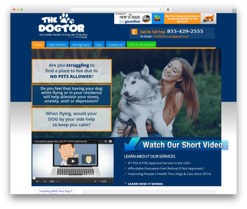 Azure Basic best WordPress theme - thedogtor.net Azure Basic best WordPress theme - thedogtor.net