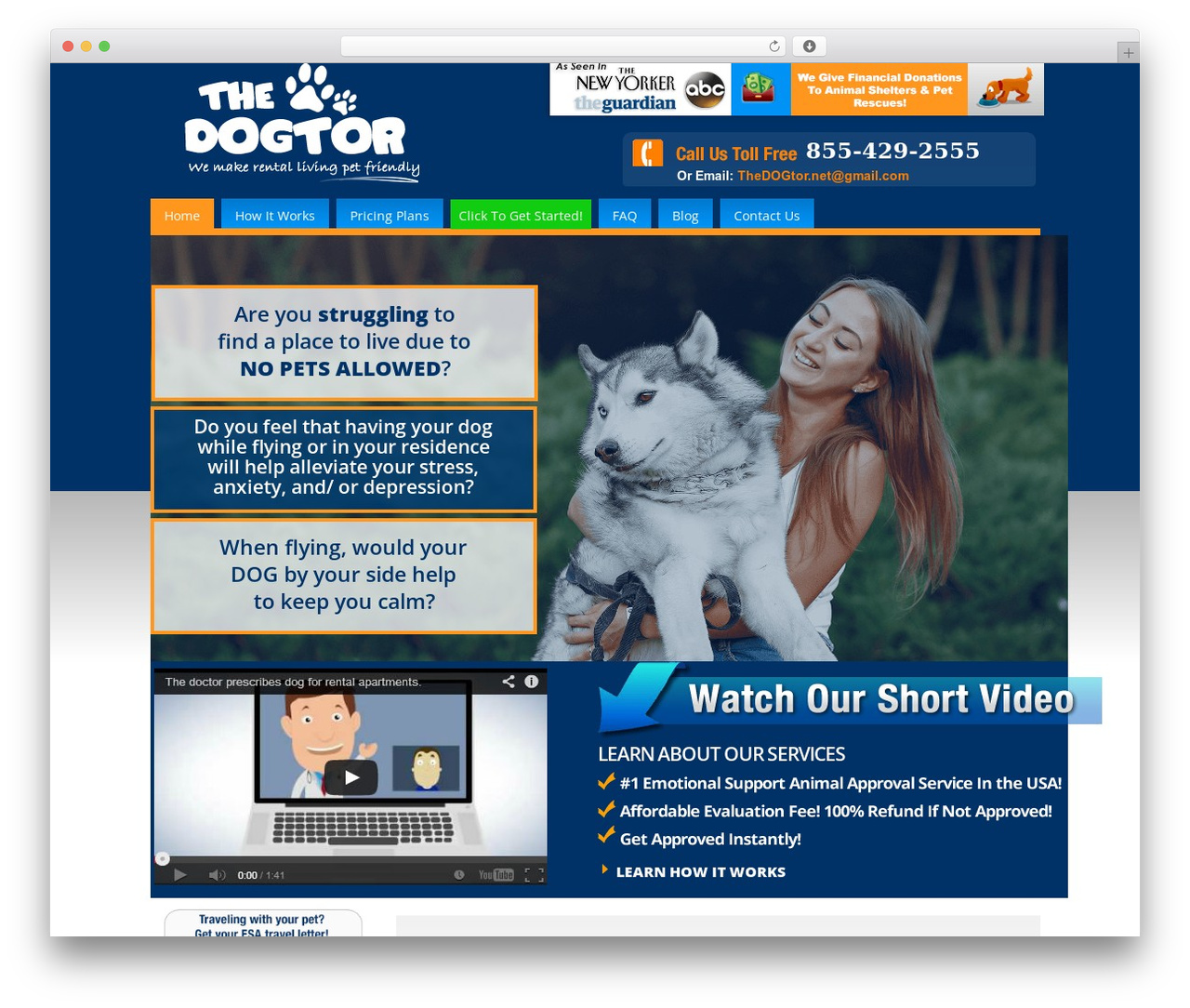 Azure Basic theme WordPress - thedogtoronline.com Azure Basic theme WordPress - thedogtoronline.com
