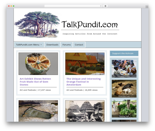 Extra premium WordPress theme - talkpundit.com