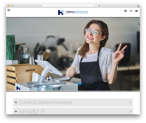 _elementor pro WordPress plugin - horeca-integrator.pl