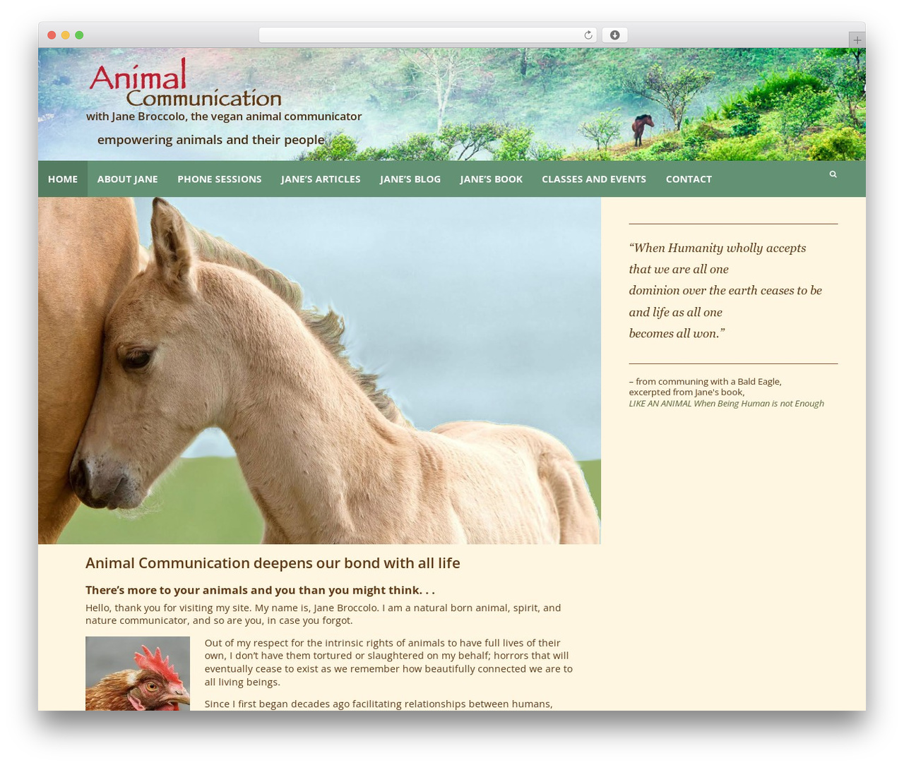 My Simone theme WordPress - talkswithpets.com My Simone theme WordPress - talkswithpets.com