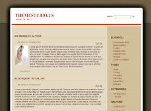 nano-wordpress-rootage WordPress theme by themestudio.us@gmail.com
