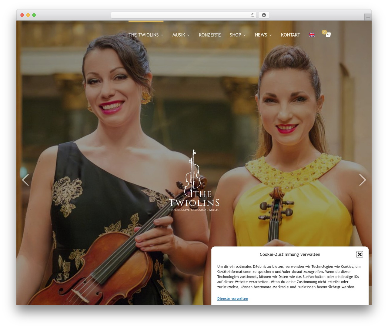 One WordPress theme - thetwiolins.de