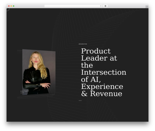 Reframe top WordPress theme - erintoland.com