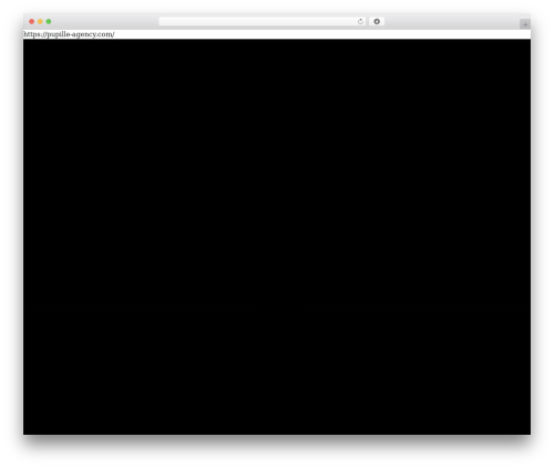 Rhye core WordPress plugin - pupille-agency.com