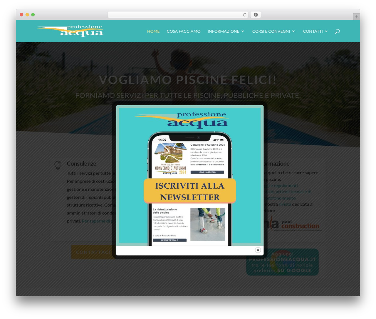 Theme WordPress Divi - professioneacqua.it Theme WordPress Divi - professioneacqua.it