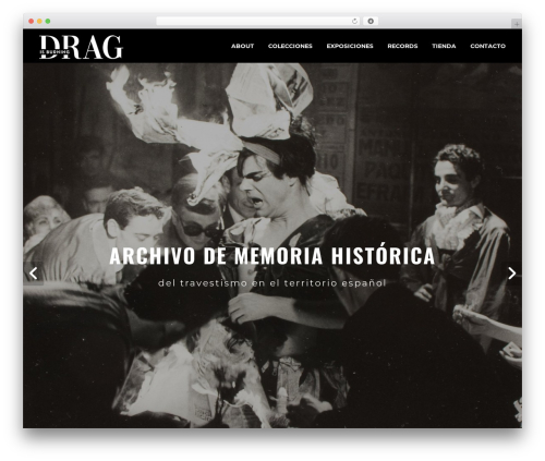 Screenr plus WordPress plugin - dragisburning.com
