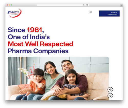 Bwd timeline WordPress plugin - seagullpharma.com