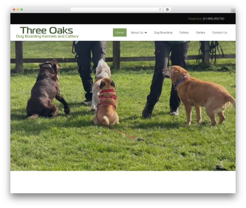 WordPress theme You - threeoaksboardingkennels.co.uk