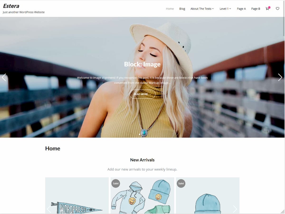 Estera WordPress shopping theme
