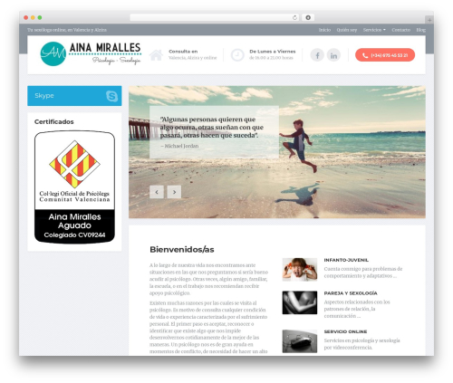 Proteuswidgets WordPress plugin - ainamiralles.com