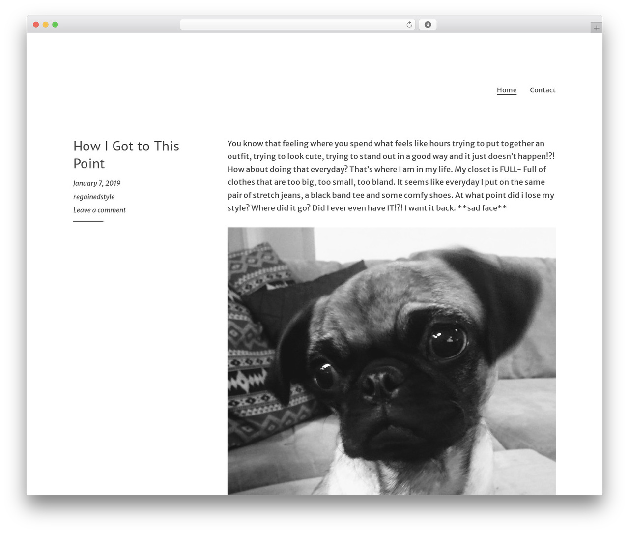 H4 WordPress theme - regainedstyle.com