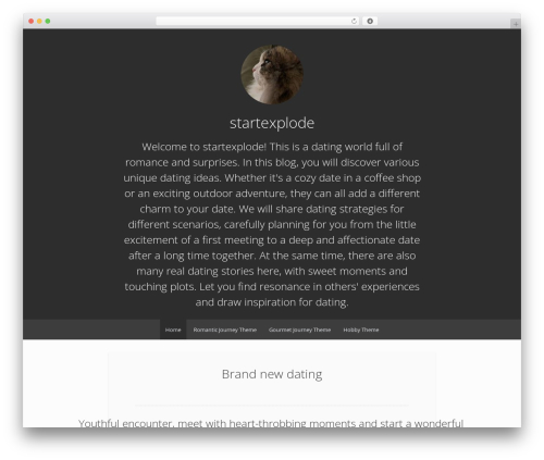 Theme WordPress Relativity - startexplode.top