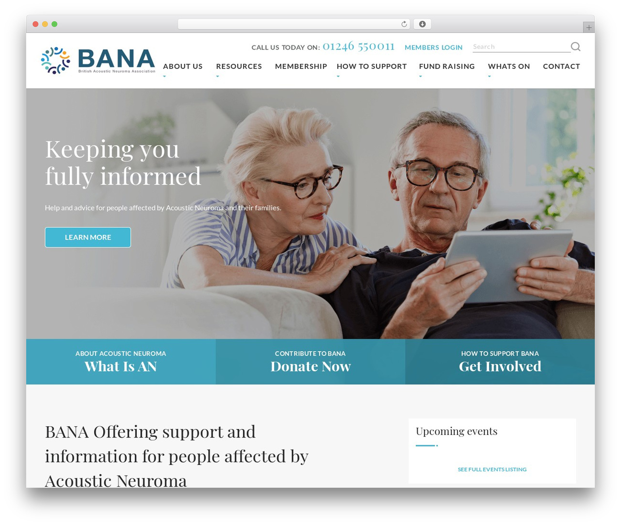 WordPress theme BANA - bana-uk.com