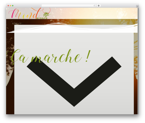Fancy animations WordPress plugin - mindintrek.com